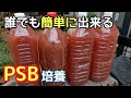誰でも簡単に培養PSB！
