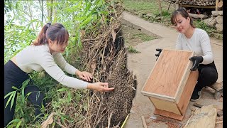 : Binh's daily work and how Binh catches honey bees and makes bee crates. Rural lady.