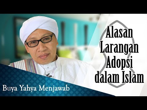 Video: Mengapa Anda harus mempertimbangkan adopsi?