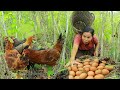 Survival in the rainforestfound chicken egg with eggplants for cook  give to pets