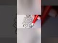 Drawing a pineapple #asmr #art #drawing #satisfying