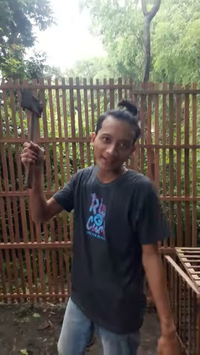 Ngopi opo bacokan