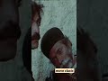 شیر سنگی سر قبرت میگذارم 