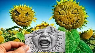 Pencil Vs Camera - Amazing art by Belgian Artist BenHeine