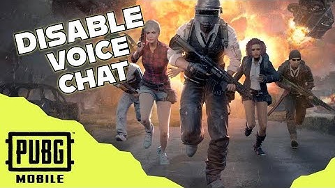 How to Disable Voice Chat in Pubg 2025?