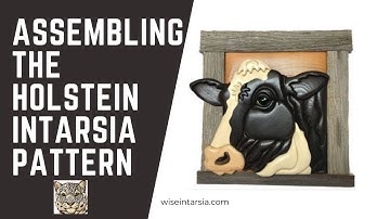 Assembling the Kathy Wise Designs Holstein Cow Intarsia Pattern!