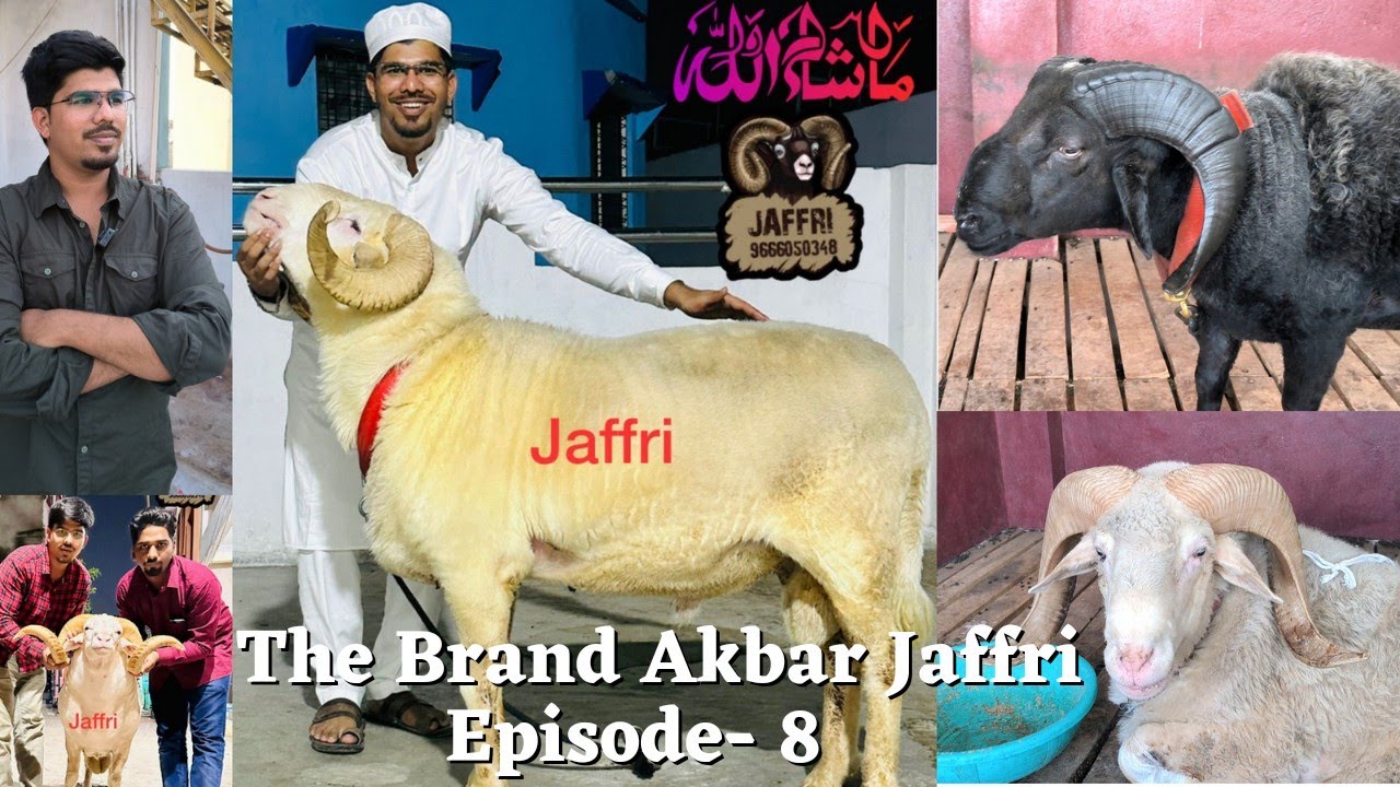 Эпизод 8 | Король Вилайяти Акбар Джаффри | Лекция Великого Мастера