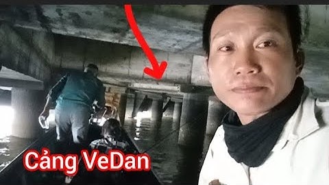 Trở Lại Cảng VeDan Gò Dầu Câu Cá Nâu với Cần Thủ Nữ || Trúng Bầy cá Nâu Sông