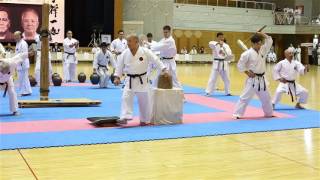 IOGKF World Budosai 2016 - Hojo undo