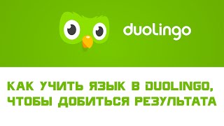 Как правильно учить языки в Duolingo