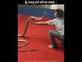 सांप कभी इंसान का पालतू क्यों नहीं बन सकता? 🐍