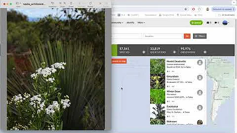 Identify ANY PLANT using this Inaturalist feature!