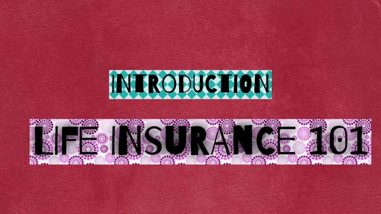 INTRODUCTION TO LIFE INSURANCE 101