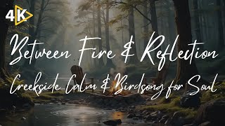 Between Fire and Reflection 🔥 | Creekside Calm & Birdsong for the Soul