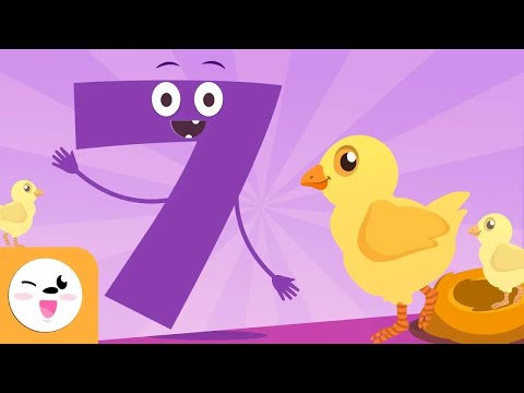 Número 7