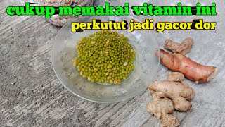 cukup memakai vitamin ini perkutut lokal jadi gacor rajin manggung