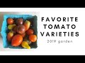 FAVORITE TOMATOES 2019 | ranking the tomato varieties I grew this year