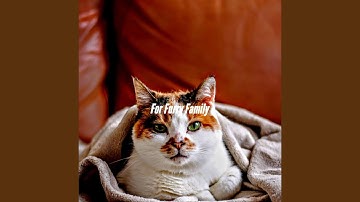 Pulsating Spring and Wellness