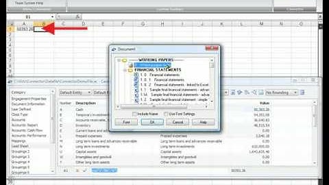 CaseWare Connector: Navigating the Interface