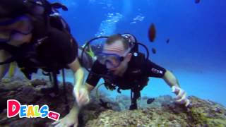 Padi Open Water Diver Course - Cours Plongée Padi Mauritius Ile Maurice