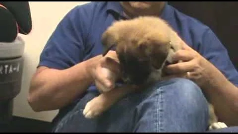 Dori's Pet of the week