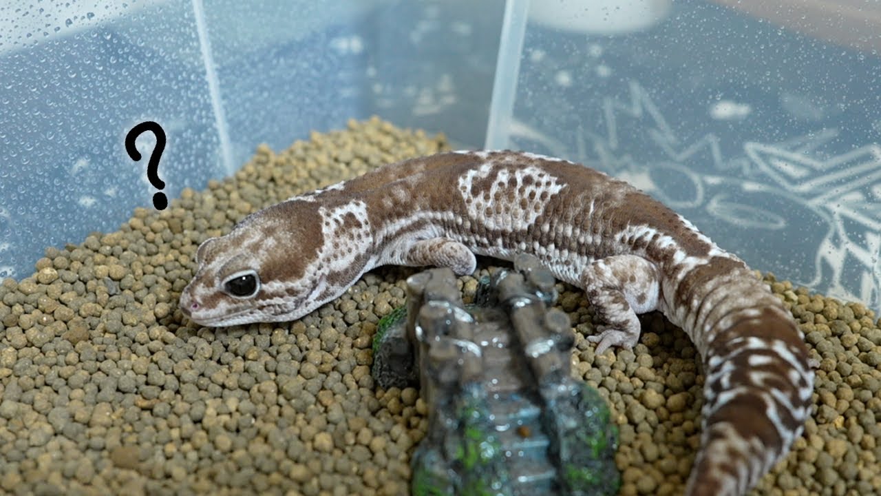 We have created a breeding environment without a shelter! - YouTube