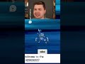 Heracross  Is This Pokémon Bipedal  Guess the Answer!