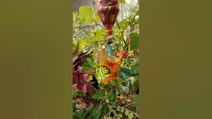 Waste plastic bottles planters decor DIY #balcony garden Beauty planter
