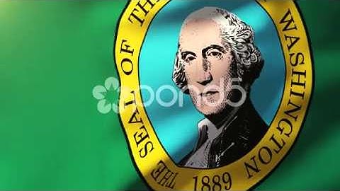 Washington Flag Waving In The Wind. Looping Sun Rises Style. Animation Loop