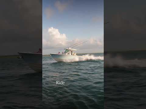 Ride. Comfort. Performance. How it's supposed to be!