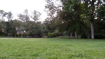 Bumblebee 550 kk2.0 first flight