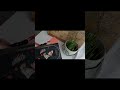 Готовлю книгу для благотворительной гаражной распродажи #shorts