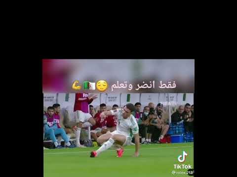 والسبع زهرة واعرة تزلزل الحيوط يوسف بلايلي 