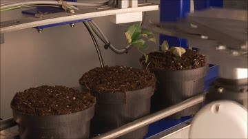 Selectie Potroos video IsoGroup HD