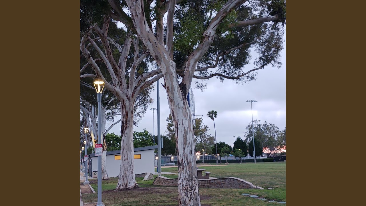 Watch Got a Light? on YouTube Watch Got a Light? on YouTube