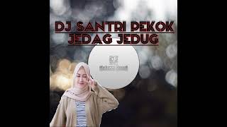 DJ SANTRI PEKOK TERBARU 2024