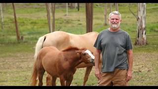 Queensland Pool Owner Shares Why He Chose Aiper Real Customer Review