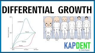 DIFFERENTIAL GROWTH | Cephalo- caudal Gradient & Scammon's Growth Curve | #Orthodontics #KAPDENT