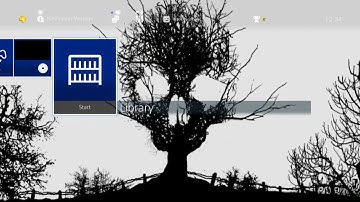 Evil Tree - PlayStation 4 Dynamic Theme