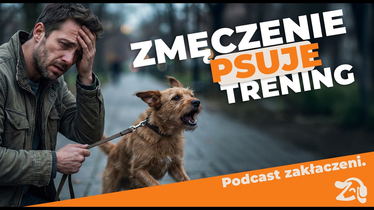 Gdy opiekun nie ma siły, pies płaci rachunek  - Podcast Zakłaczeni