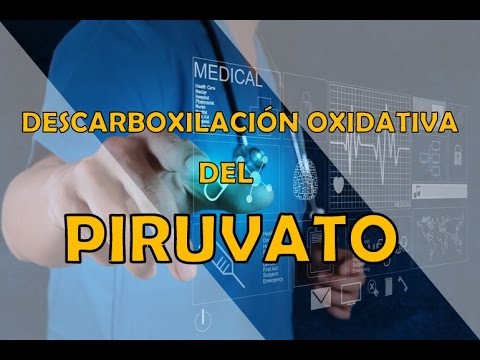 Vídeo: La descarboxilació oxidativa del piruvat sintetitza ATP?