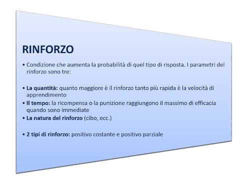 Video: Chi ha affermato che il comportamento è influenzato dal rinforzo positivo?