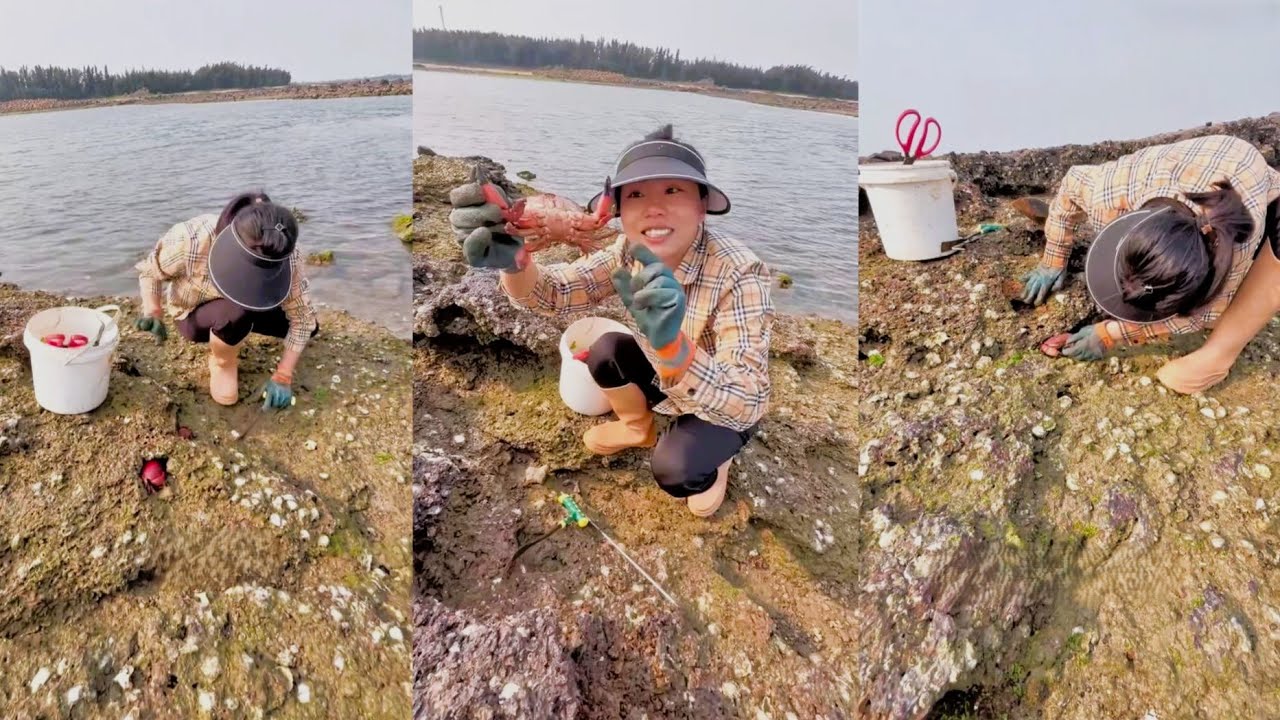 Digging holes to catch fish 🦀 Crab bread 