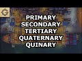 Economic Sectors Unveiled From Primary to Quinary