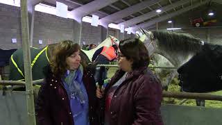 15 edición de la Feria del Caballo en Belmonte de Miranda / El Campo de Asturias
