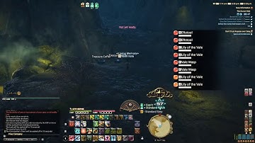 Final Fantasy XIV Aurum Vale speedrun