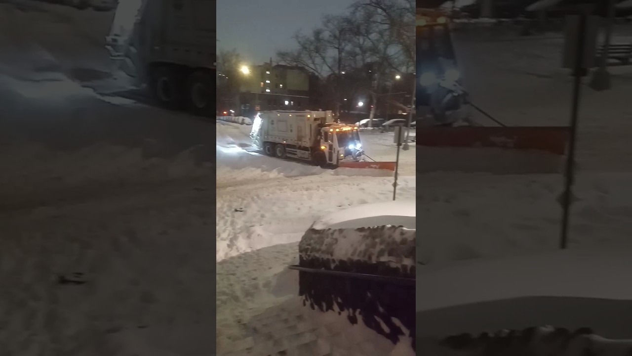 #shorts #video #winter #snow #nyc #usa #cold #park #night #explore #travel #enjoy #music #youtube