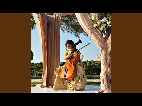 Vesislava - Beauty and the Beast (Instrumental Soundtrack) (Instrumental)