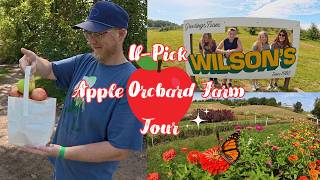 Fall Family Fun at Wilson’s Orchard - Apple Picking & Tractor Rides Perfect Fall Family Day At The Apple Orchard рџЌЋ Apple Picking Hay Ride Pumpkins