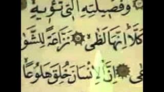 Video Qur'an Juz 29
